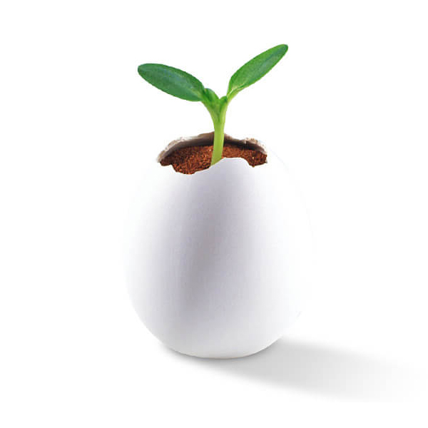 ά��������Ʒ��vic(����)�ٷ���վ